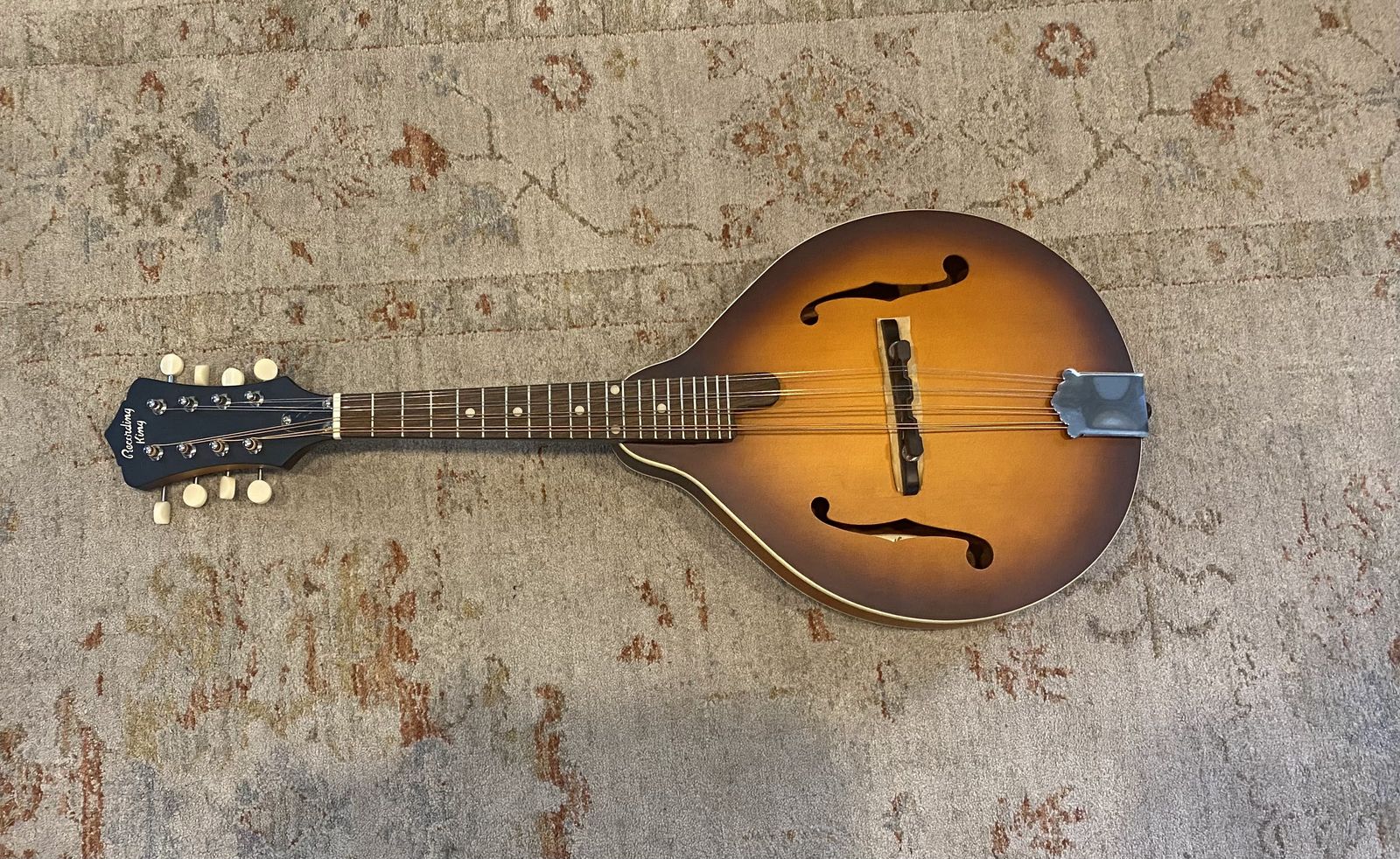 Beautiful Mandolin instrument and case