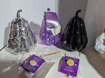 Halloween/Thanksgiving/Fall Lighted Gords