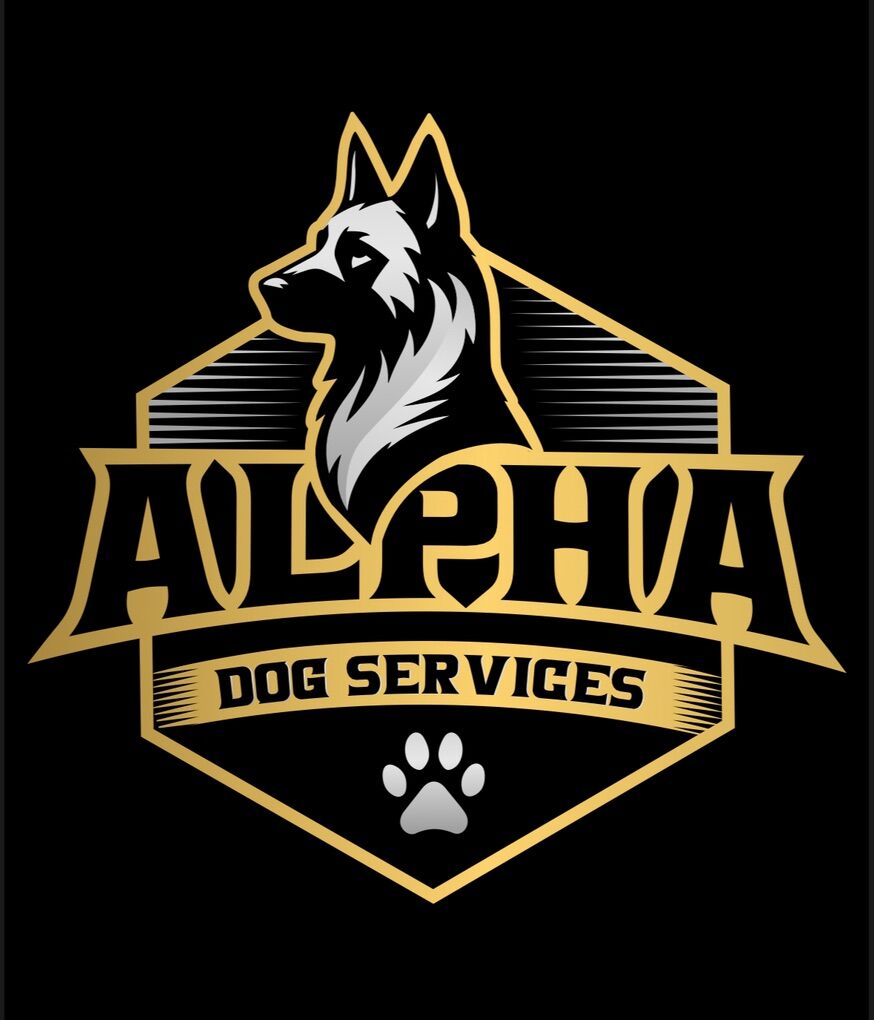 Better Dogs Start With Better Training!