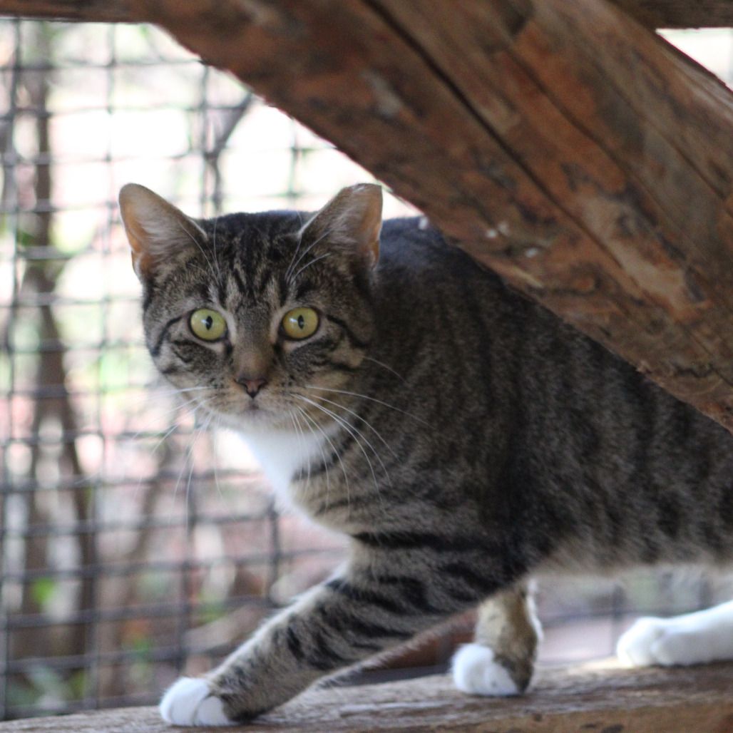 Hello my name is Olympia