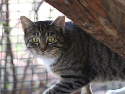 Hello my name is Olympia