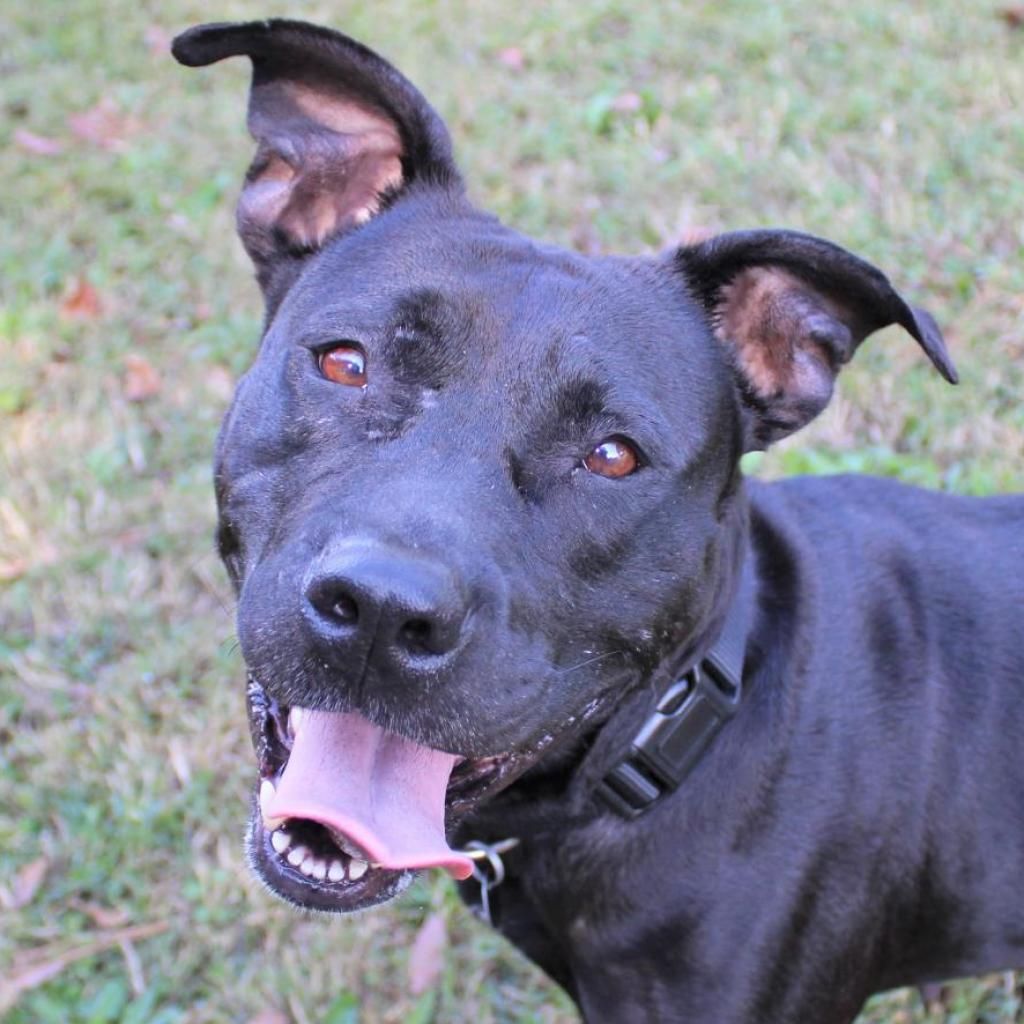 Hello my name is Katy