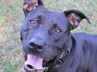 Hello my name is Katy