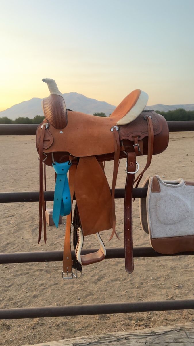 16” saddle
