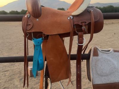16” saddle