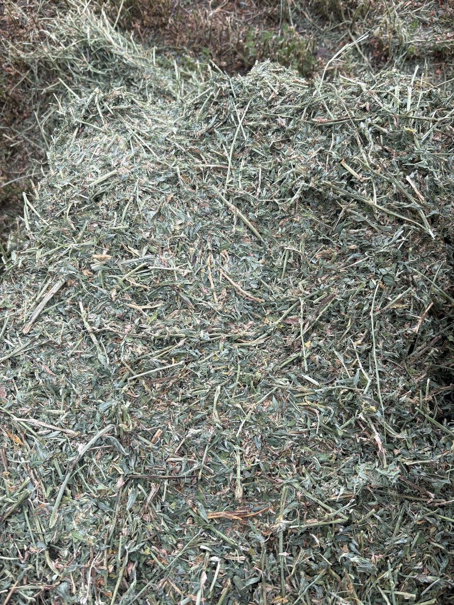 Main image 3