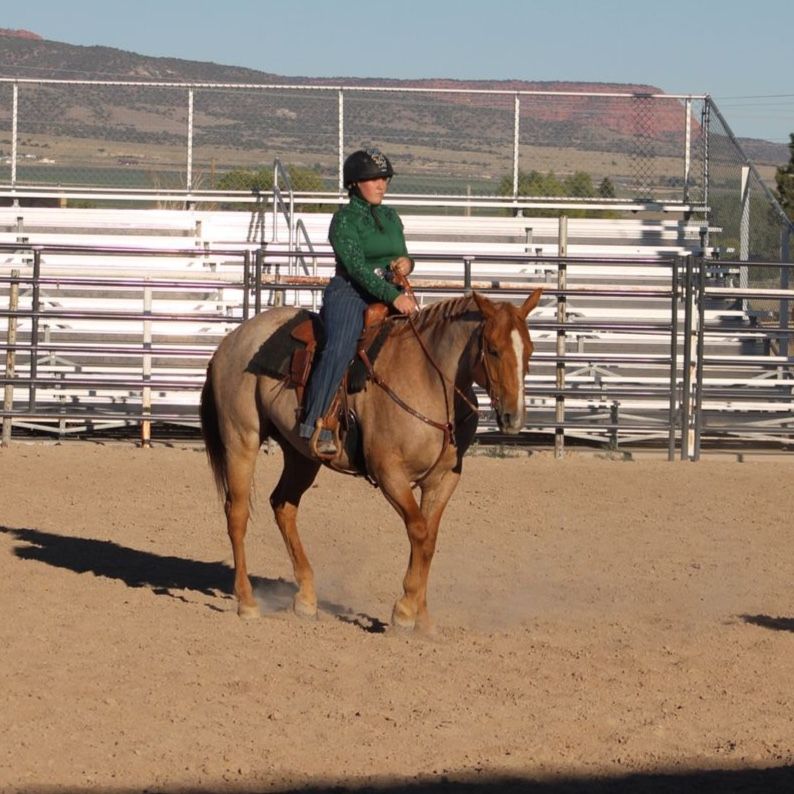 Horseback Riding Lessons