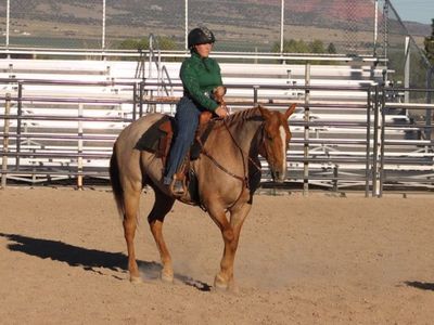 Horseback Riding Lessons