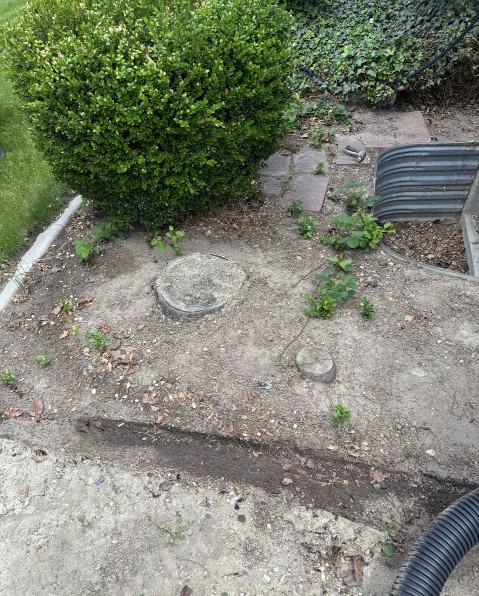 Main image 4