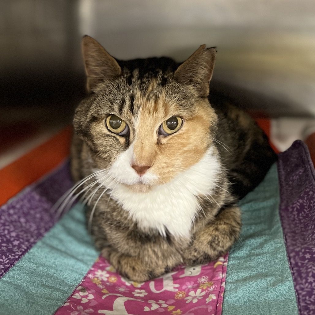 Hello my name is Minke