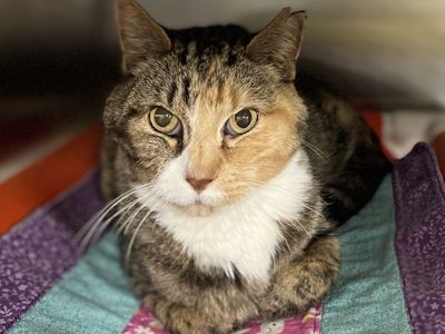 Hello my name is Minke