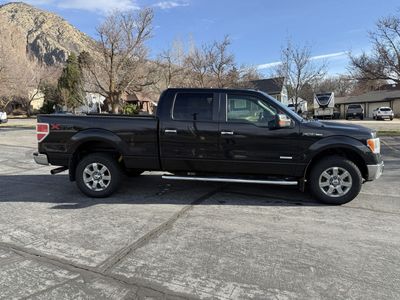 2013 FORD F150 XLT