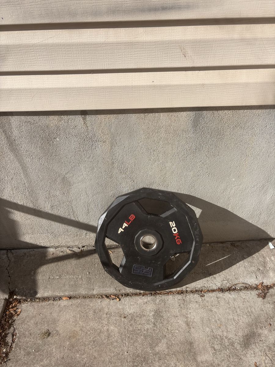 F45 20kg Plates
