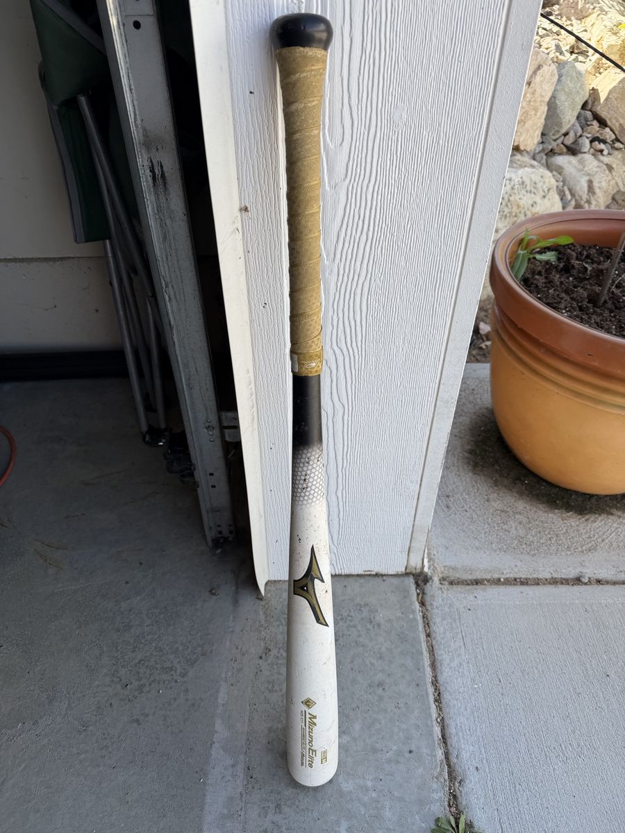 Mizuno Bamboo Woody Baseball Bat