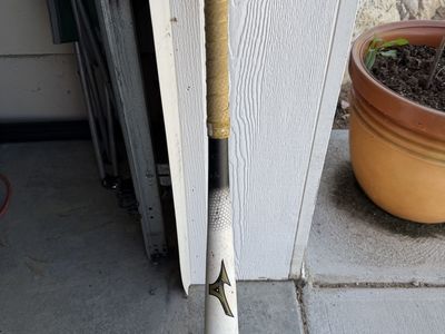 Mizuno Bamboo Woody Baseball Bat