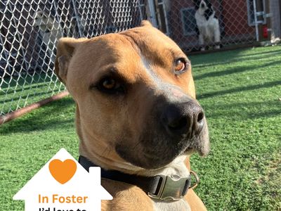 Hello my name is Norman