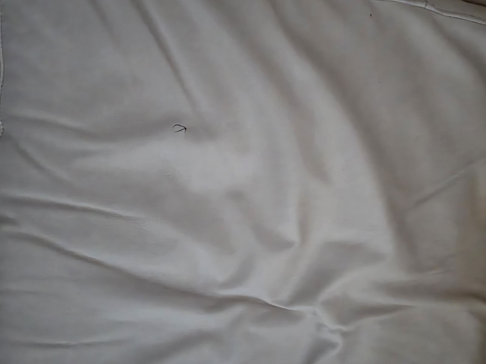 Main image 3