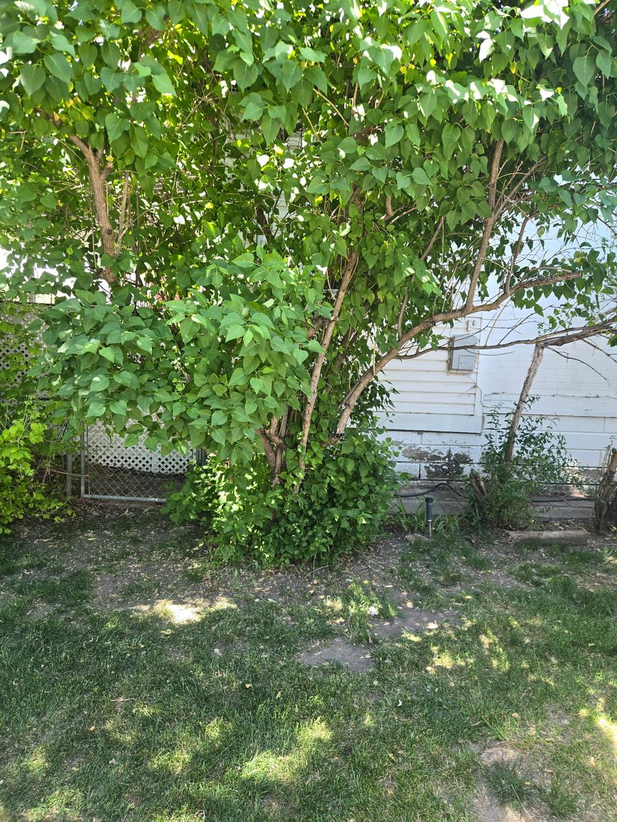 Main image 10