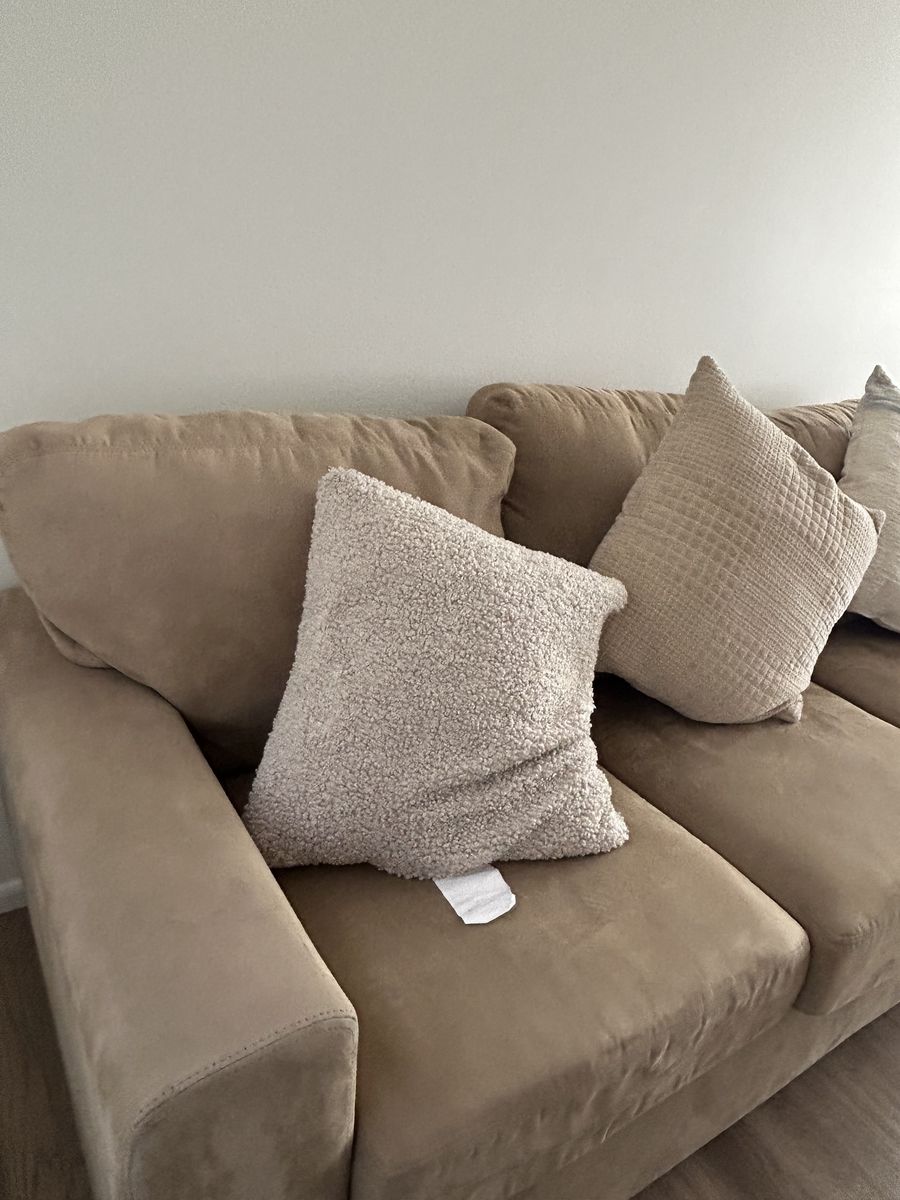 Couch and Cushion