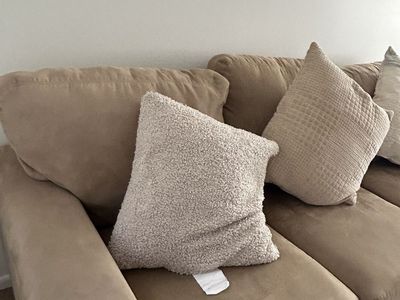 Couch and Cushion