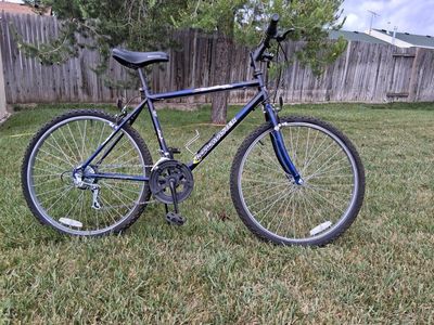 Roadmaster Bike