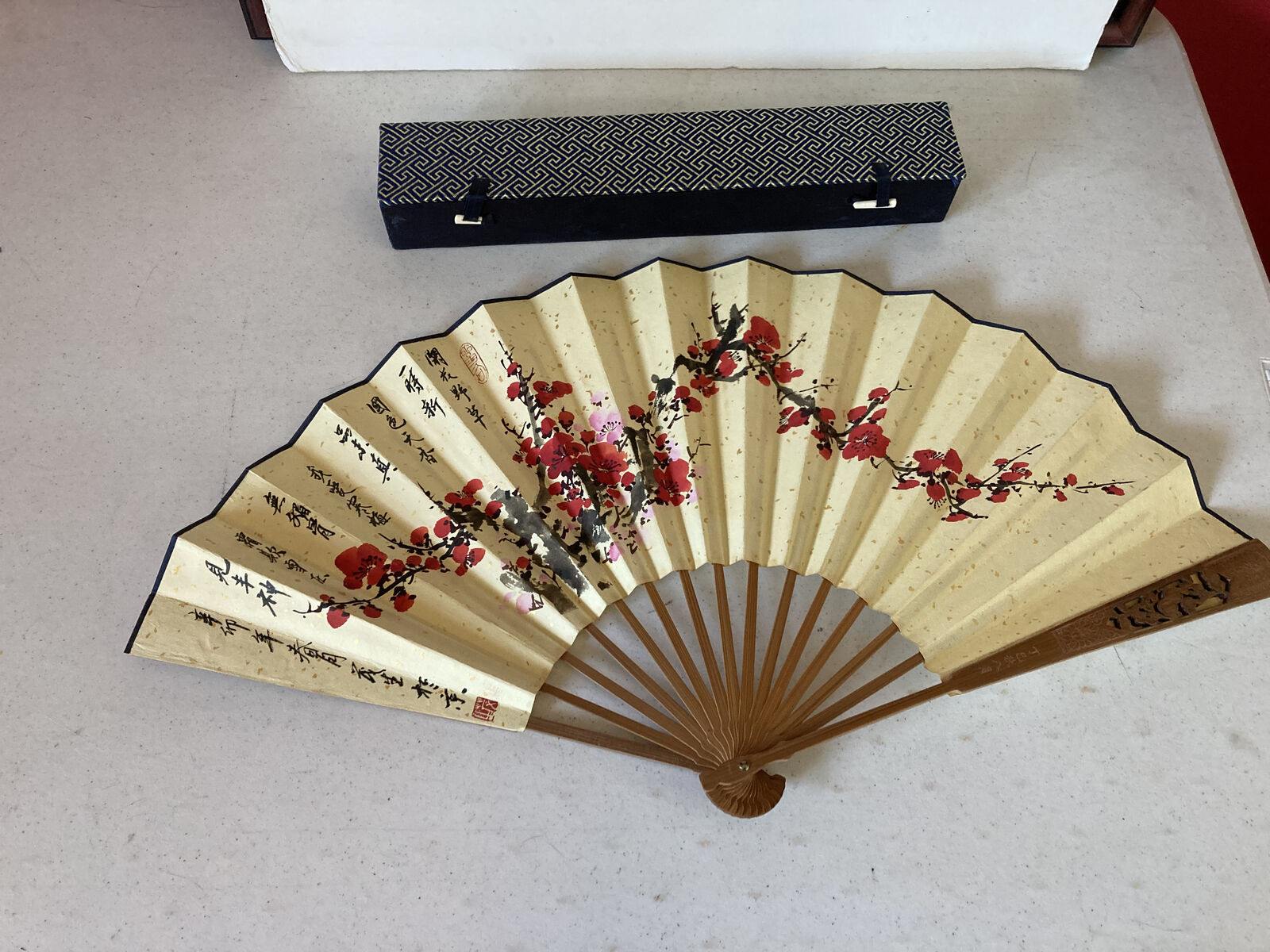 Decorative Fan with Case
