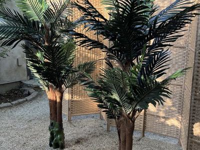 Pair of 5 ½ -foot Artificial Tropical Palm Trees – Boutique/Event Display – Excellent Condition