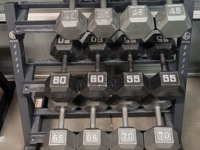 dumbbells 670 pounds