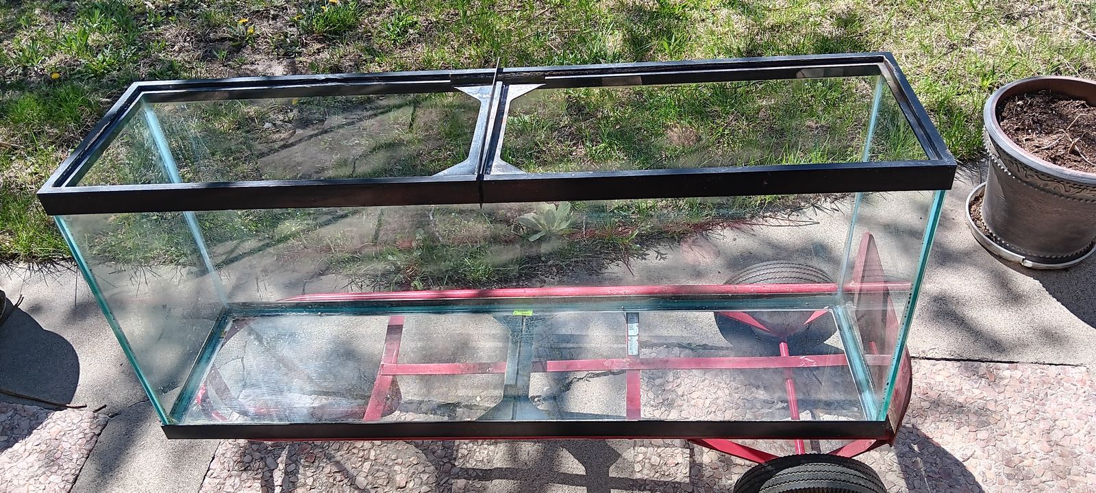 Aquarium, 48" x 12" x 21" tall, 50 gallon
