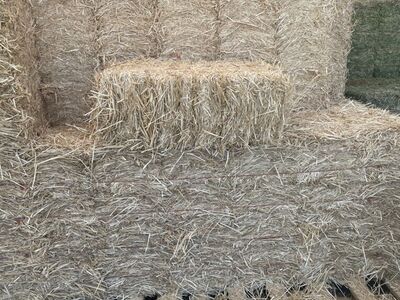Straw Hay