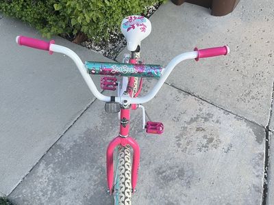 20' Slimed Tires Huffy Bike