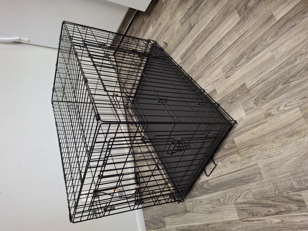 large steel dog cage