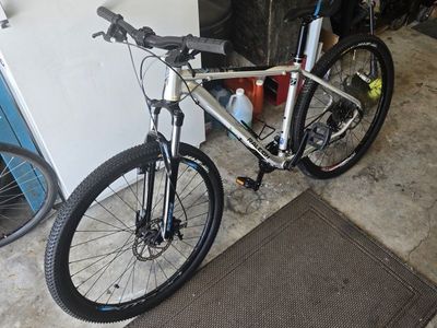 Raleigh Talus 29er Mountain Bike Size Large Silver 29-Inch Wheels