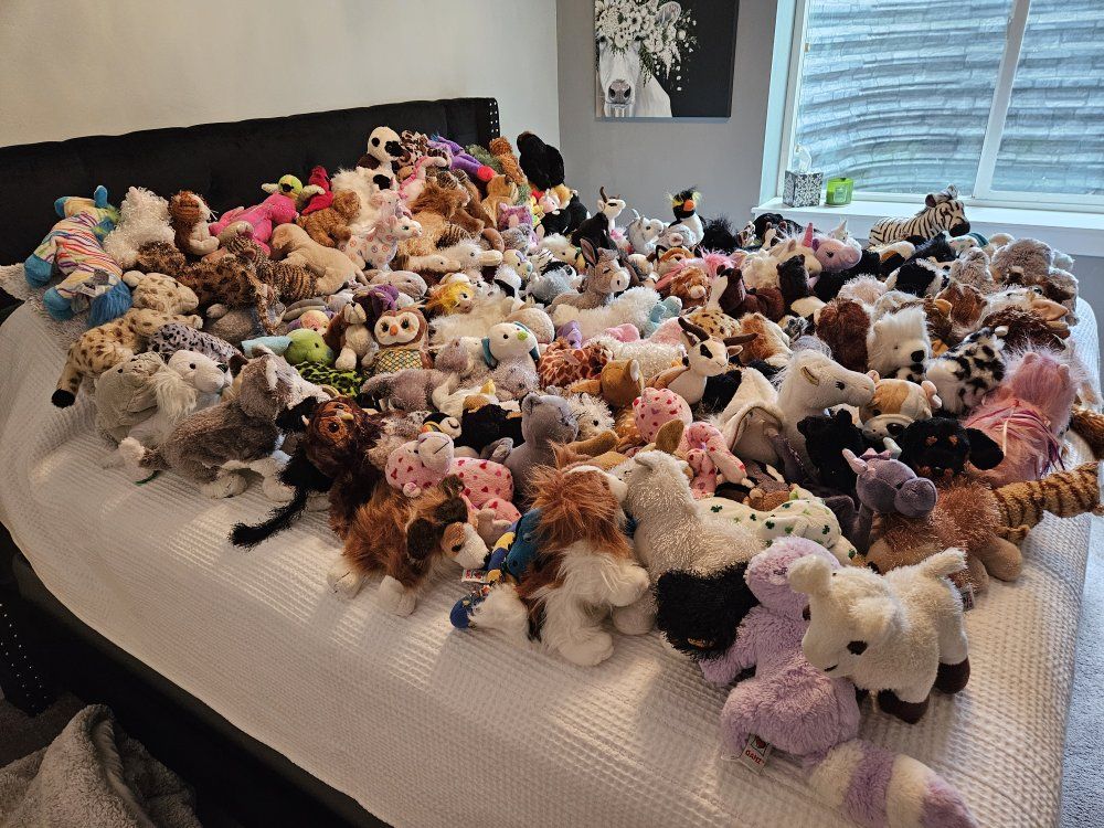 Webkinz Haul!!