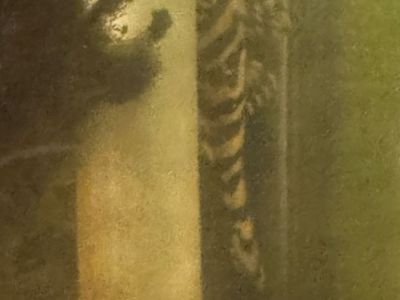 Leopard Frog Pleco Adult