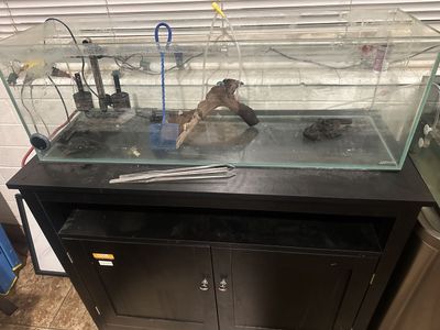 Fish Tank And Stand