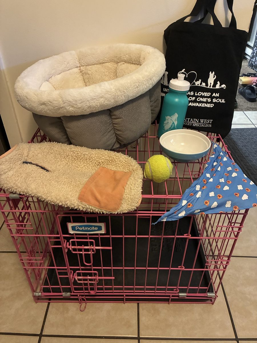 Dog kennel and supplies