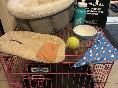Dog kennel and supplies