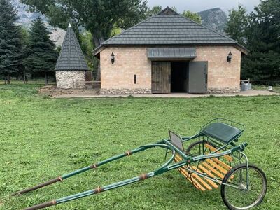 Vintage Wilform Buggy Works Horse Buggy