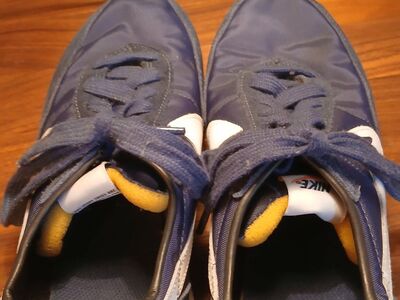 nike waffle shoe, BRAND NEW will trade