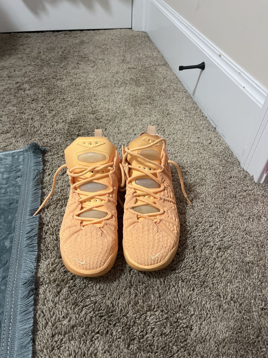 Lebron "Sisterhoods"