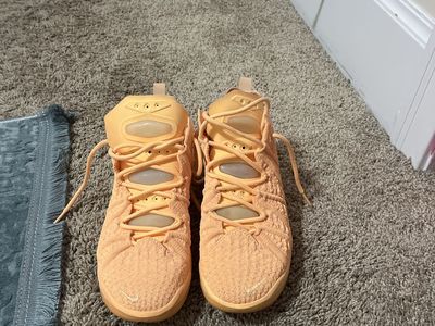 Lebron "Sisterhoods"