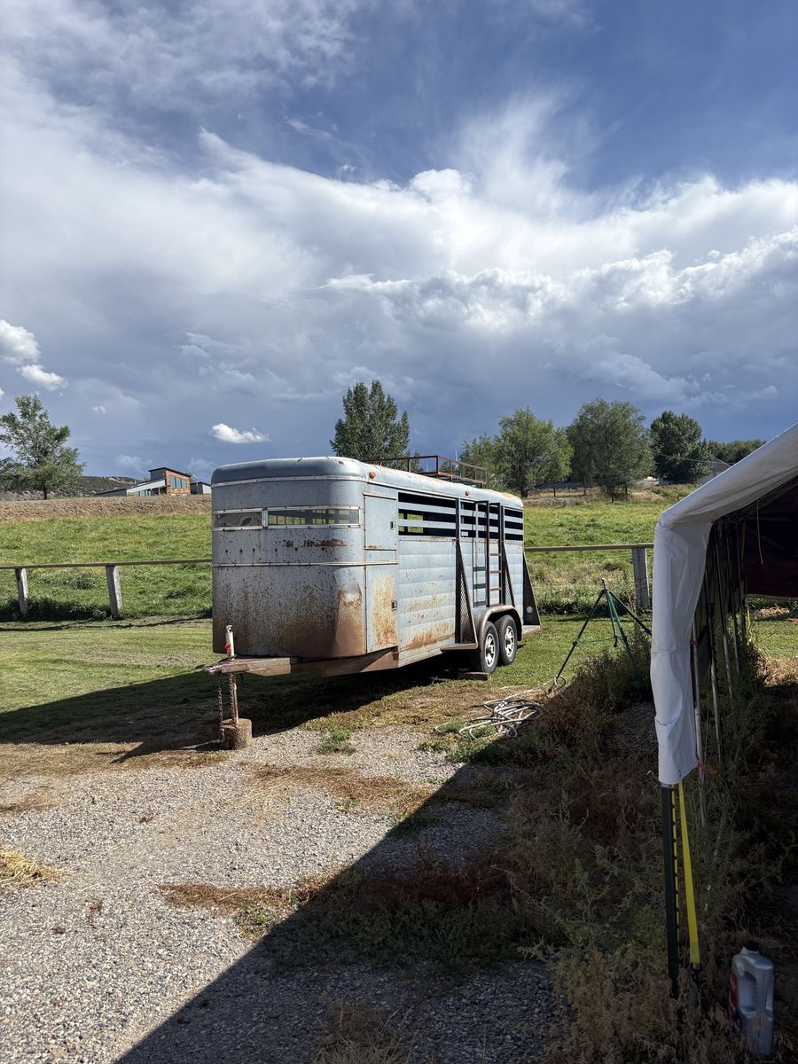 Four Horse Straight Load Horse Trailer 