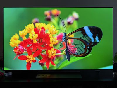 LG 55" C3 OLED Evo - Low Hours (2722) - Better Value than C4/C5!