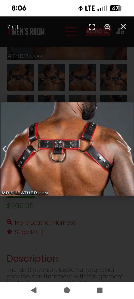 Mr. S Leather Bulldog Harness - Black/Red with Studs