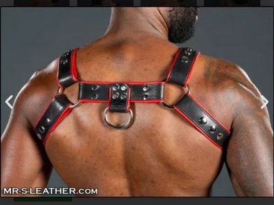 Mr. S Leather Bulldog Harness - Black/Red with Studs