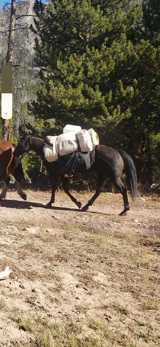 Main image 7