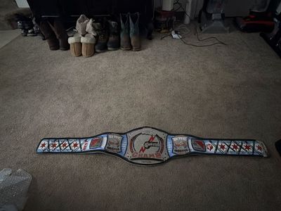 CM punk legacy championship