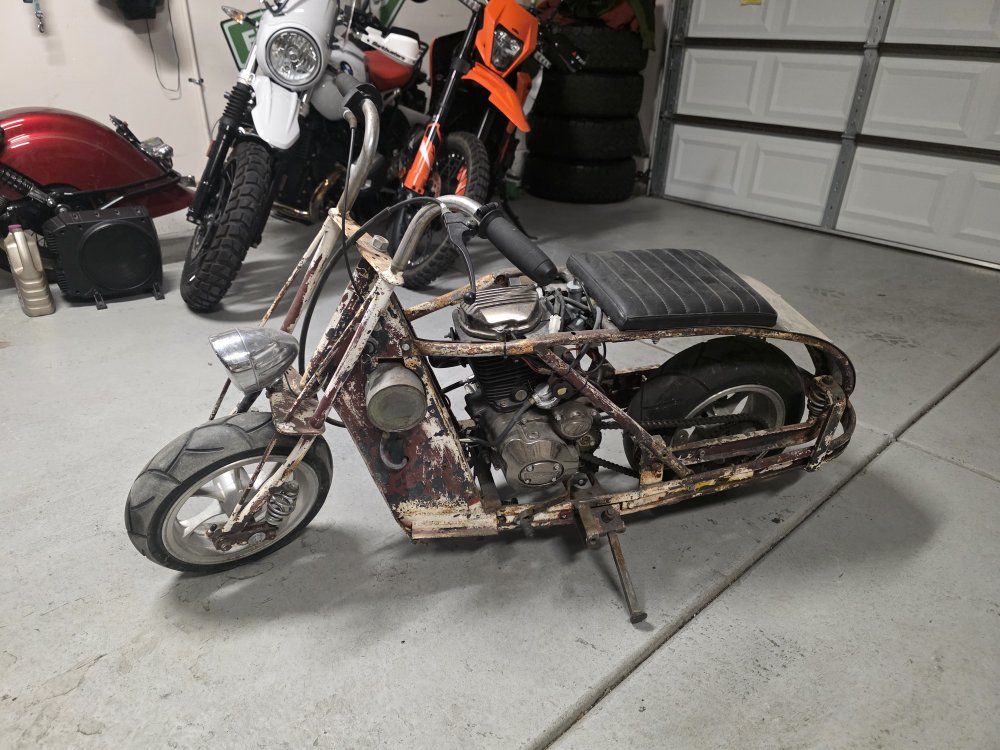 1955 Cushman with 100cc motor rat