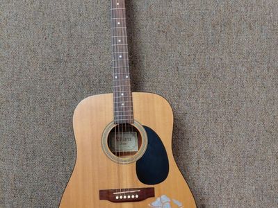 Acoustic guitar Tanara chesbro. Nice Sound.
